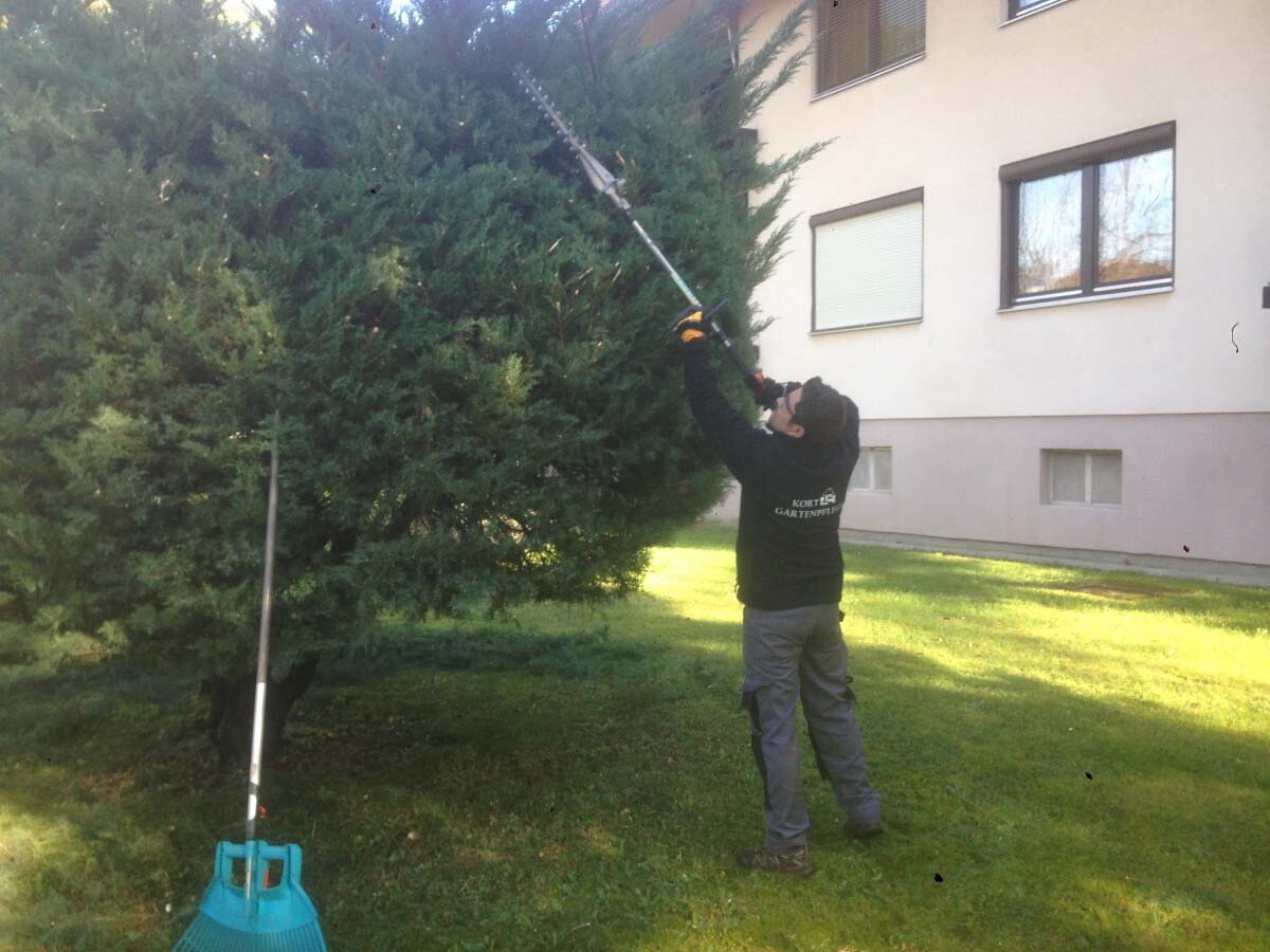 Baumpflege durch die Kort Garden & Home GmbH